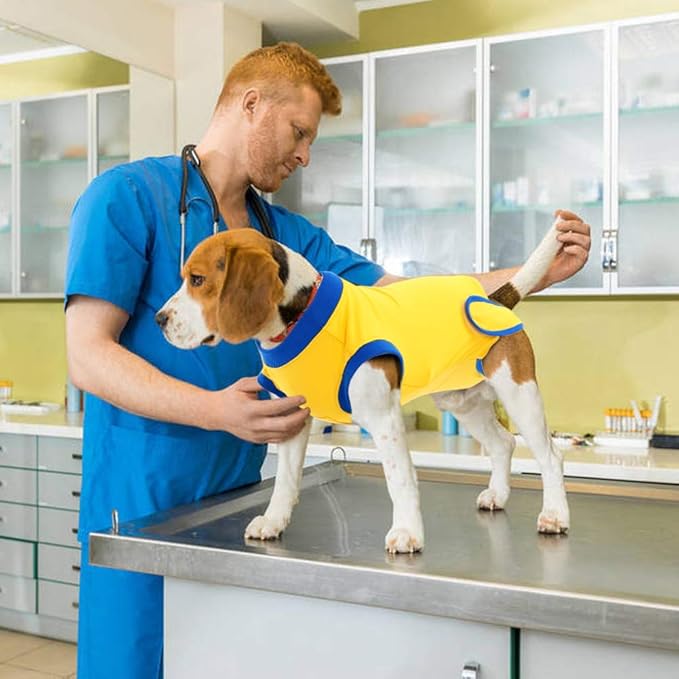 Faja Postoperatoria Perro