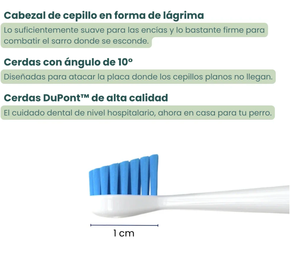 Canident PRO
