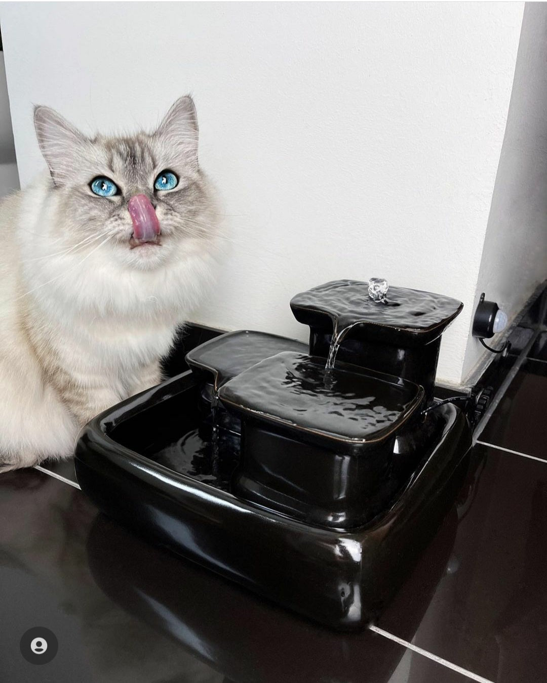 Fuente para Gatos Cerámica