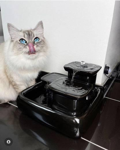 Fuente para Gatos Cerámica