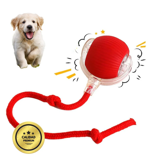 Pelotaviva para Perro