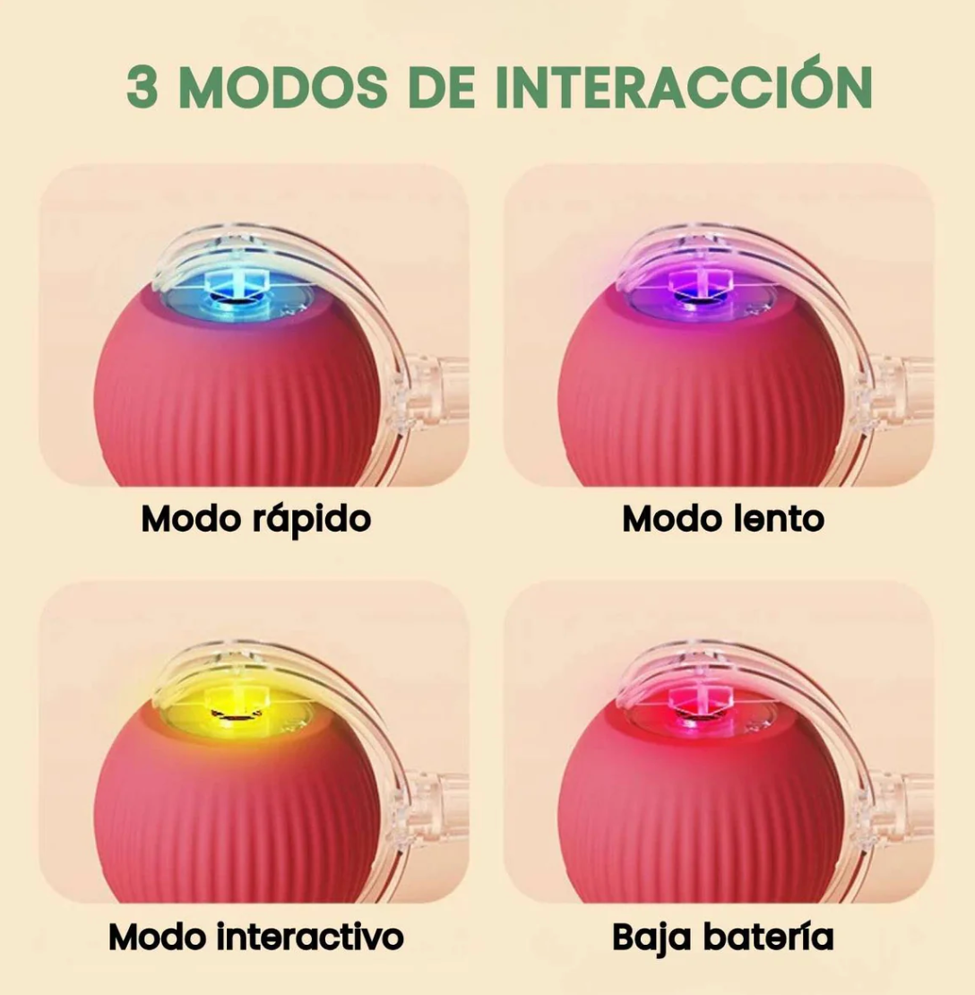 Pelotaviva para Perro