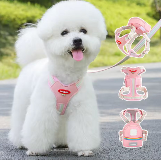Arnés reflectante arcoíris para perros con correa