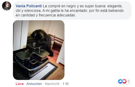 Fuente para Gatos Cerámica